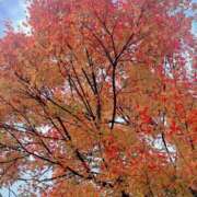 ヒメ日記 2025/11/23 12:46 投稿 小倉にこ 五十路マダム 岐阜店