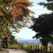 ヒメ日記 2025/11/27 14:18 投稿 小倉にこ 五十路マダム 岐阜店