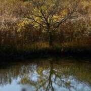 ヒメ日記 2025/11/27 18:34 投稿 小倉にこ 五十路マダム 岐阜店