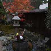 ヒメ日記 2025/11/28 06:42 投稿 小倉にこ 五十路マダム 岐阜店