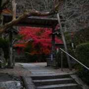 ヒメ日記 2025/11/28 07:32 投稿 小倉にこ 五十路マダム 岐阜店