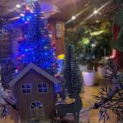 ヒメ日記 2025/11/30 00:00 投稿 小倉にこ 五十路マダム 岐阜店