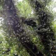 ヒメ日記 2026/02/27 14:30 投稿 小倉にこ 五十路マダム 岐阜店