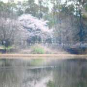 ヒメ日記 2026/04/01 07:38 投稿 小倉にこ 五十路マダム 岐阜店