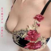 ヒメ日記 2026/04/04 13:02 投稿 小倉にこ 五十路マダム 岐阜店