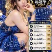 ヒメ日記 2026/09/25 12:05 投稿 白花 みこと 30代40代50代と遊ぶなら博多人妻専科24時