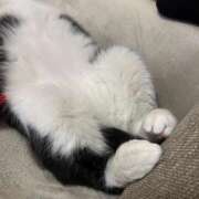 ヒメ日記 2025/04/17 09:49 投稿 NATSUME『なつめ』 GG