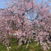 ヒメ日記 2026/03/28 13:49 投稿 NATSUME『なつめ』 GG