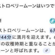 ヒメ日記 2025/06/11 17:09 投稿 HOTARU『ホタル』 GG