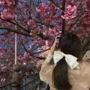 ヒメ日記 2026/04/02 23:55 投稿 みらい 新宿泡洗体デラックスエステ