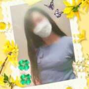 ヒメ日記 2025/12/29 08:01 投稿 あん(昭和38年生まれ) 熟年カップル名古屋～生電話からの営み～