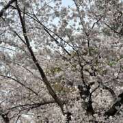 ヒメ日記 2025/03/31 19:54 投稿 いつき(昭和33年生まれ) 熟年カップル名古屋～生電話からの営み～