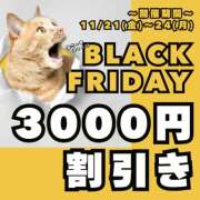 ヒメ日記 2025/11/22 09:49 投稿 いつき(昭和33年生まれ) 熟年カップル名古屋～生電話からの営み～