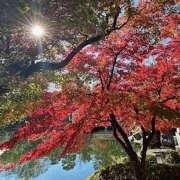 ヒメ日記 2025/11/29 21:13 投稿 いつき(昭和33年生まれ) 熟年カップル名古屋～生電話からの営み～