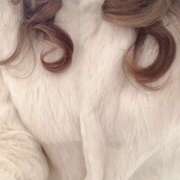 ヒメ日記 2025/01/27 09:50 投稿 うみ(昭和41年生まれ) 熟年カップル名古屋～生電話からの営み～