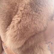 ヒメ日記 2025/02/28 17:35 投稿 うみ(昭和41年生まれ) 熟年カップル名古屋～生電話からの営み～