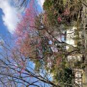 ヒメ日記 2025/03/20 16:27 投稿 うみ(昭和41年生まれ) 熟年カップル名古屋～生電話からの営み～