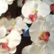 ヒメ日記 2026/01/19 21:08 投稿 かなえ(昭和39年生まれ) 熟年カップル名古屋～生電話からの営み～