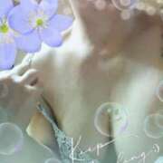 ヒメ日記 2025/01/12 12:08 投稿 かなこ(昭和33年生まれ) 熟年カップル名古屋～生電話からの営み～