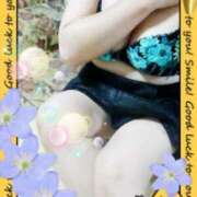 ヒメ日記 2025/08/07 07:44 投稿 かなこ(昭和33年生まれ) 熟年カップル名古屋～生電話からの営み～