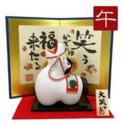 ヒメ日記 2026/01/02 08:24 投稿 かなこ(昭和33年生まれ) 熟年カップル名古屋～生電話からの営み～