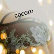 ヒメ日記 2024/12/24 07:00 投稿 こころ(昭和47年生まれ) 熟年カップル名古屋～生電話からの営み～