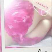 ヒメ日記 2025/03/13 07:00 投稿 こころ(昭和47年生まれ) 熟年カップル名古屋～生電話からの営み～