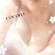 ヒメ日記 2025/04/02 07:00 投稿 こころ(昭和47年生まれ) 熟年カップル名古屋～生電話からの営み～