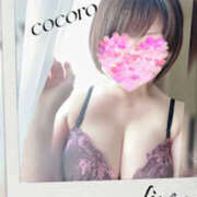 ヒメ日記 2025/04/04 07:00 投稿 こころ(昭和47年生まれ) 熟年カップル名古屋～生電話からの営み～