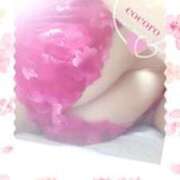 ヒメ日記 2025/04/07 07:00 投稿 こころ(昭和47年生まれ) 熟年カップル名古屋～生電話からの営み～