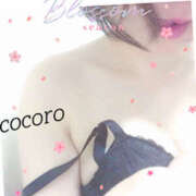 ヒメ日記 2026/03/31 07:00 投稿 こころ(昭和47年生まれ) 熟年カップル名古屋～生電話からの営み～