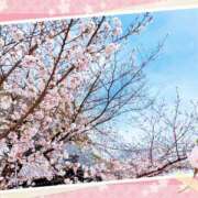 ヒメ日記 2025/03/22 14:10 投稿 ことえ(昭和34年生まれ) 熟年カップル名古屋～生電話からの営み～