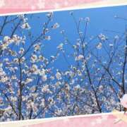 ヒメ日記 2025/04/04 12:28 投稿 ことえ(昭和34年生まれ) 熟年カップル名古屋～生電話からの営み～