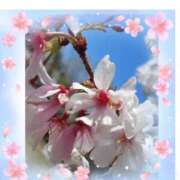 ヒメ日記 2025/04/05 19:06 投稿 ことえ(昭和34年生まれ) 熟年カップル名古屋～生電話からの営み～