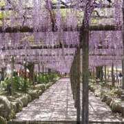 ヒメ日記 2025/05/01 07:08 投稿 ことえ(昭和34年生まれ) 熟年カップル名古屋～生電話からの営み～