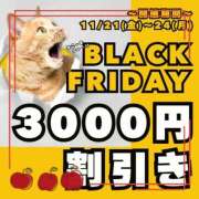 ヒメ日記 2025/11/22 10:56 投稿 ことえ(昭和34年生まれ) 熟年カップル名古屋～生電話からの営み～