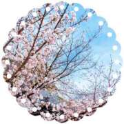 ヒメ日記 2026/03/28 17:49 投稿 ことえ(昭和34年生まれ) 熟年カップル名古屋～生電話からの営み～