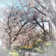 ヒメ日記 2025/03/30 17:57 投稿 こはる(昭和40年生まれ) 熟年カップル名古屋～生電話からの営み～