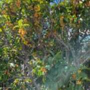 ヒメ日記 2025/10/20 12:21 投稿 こはる(昭和40年生まれ) 熟年カップル名古屋～生電話からの営み～