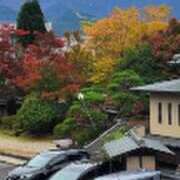 ヒメ日記 2025/11/12 12:26 投稿 こはる(昭和40年生まれ) 熟年カップル名古屋～生電話からの営み～