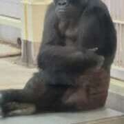 ヒメ日記 2025/11/22 08:54 投稿 こはる(昭和40年生まれ) 熟年カップル名古屋～生電話からの営み～