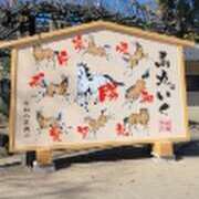 ヒメ日記 2026/02/24 12:35 投稿 こはる(昭和40年生まれ) 熟年カップル名古屋～生電話からの営み～