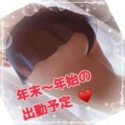 ヒメ日記 2024/12/28 17:45 投稿 しょうこ(昭和52年生まれ) 熟年カップル名古屋～生電話からの営み～