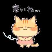 ヒメ日記 2025/02/06 06:58 投稿 しょうこ(昭和52年生まれ) 熟年カップル名古屋～生電話からの営み～