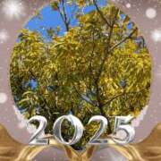 ヒメ日記 2025/01/18 16:34 投稿 ちあき(昭和38年生まれ) 熟年カップル名古屋～生電話からの営み～