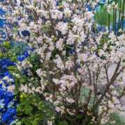 ヒメ日記 2025/03/10 09:42 投稿 ちあき(昭和38年生まれ) 熟年カップル名古屋～生電話からの営み～