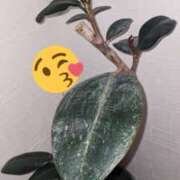 ヒメ日記 2025/03/17 18:11 投稿 ちあき(昭和38年生まれ) 熟年カップル名古屋～生電話からの営み～