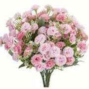 ヒメ日記 2025/03/26 20:37 投稿 ちあき(昭和38年生まれ) 熟年カップル名古屋～生電話からの営み～