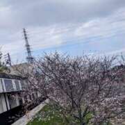 ヒメ日記 2025/04/01 08:50 投稿 ちあき(昭和38年生まれ) 熟年カップル名古屋～生電話からの営み～