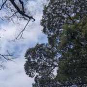 ヒメ日記 2025/04/06 21:51 投稿 ちあき(昭和38年生まれ) 熟年カップル名古屋～生電話からの営み～